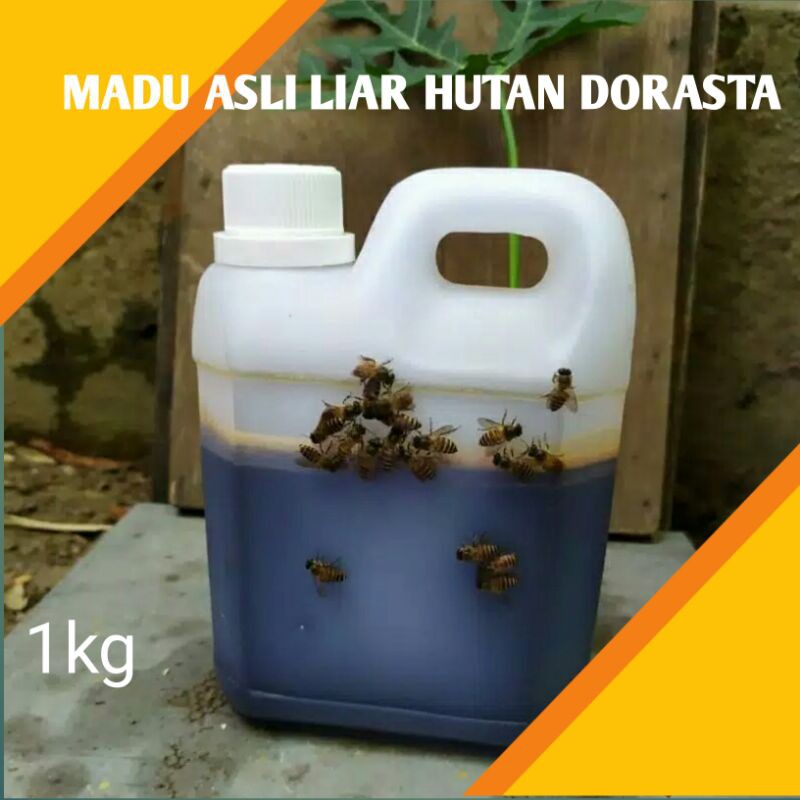 

MADU ASLI LIAR HUTAN DORSATA PREMIUM 1KG