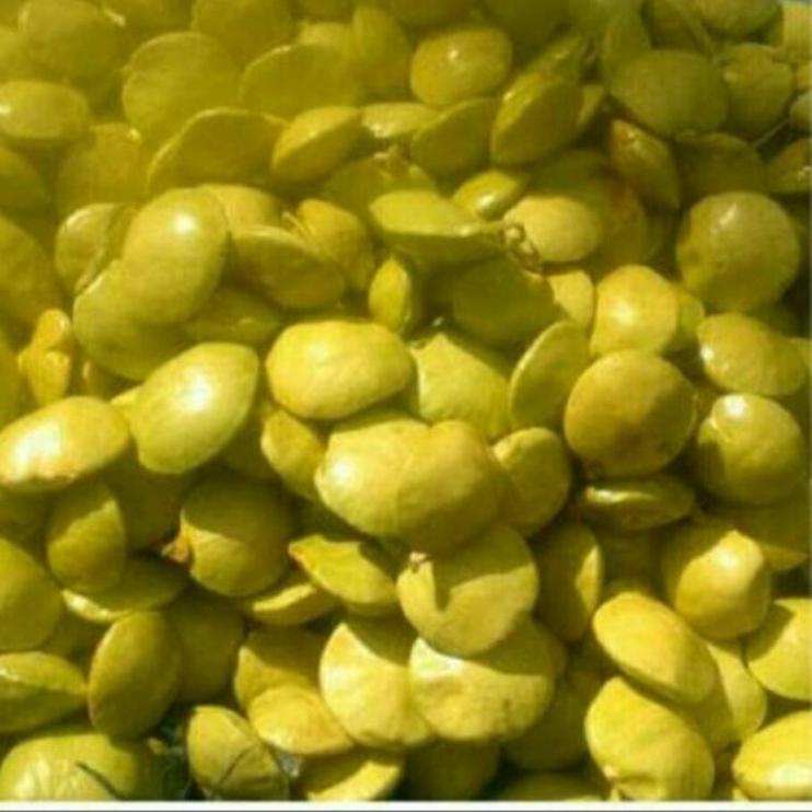 

BIG SALES ㅀ jengkol muda lalap 1kg ☀