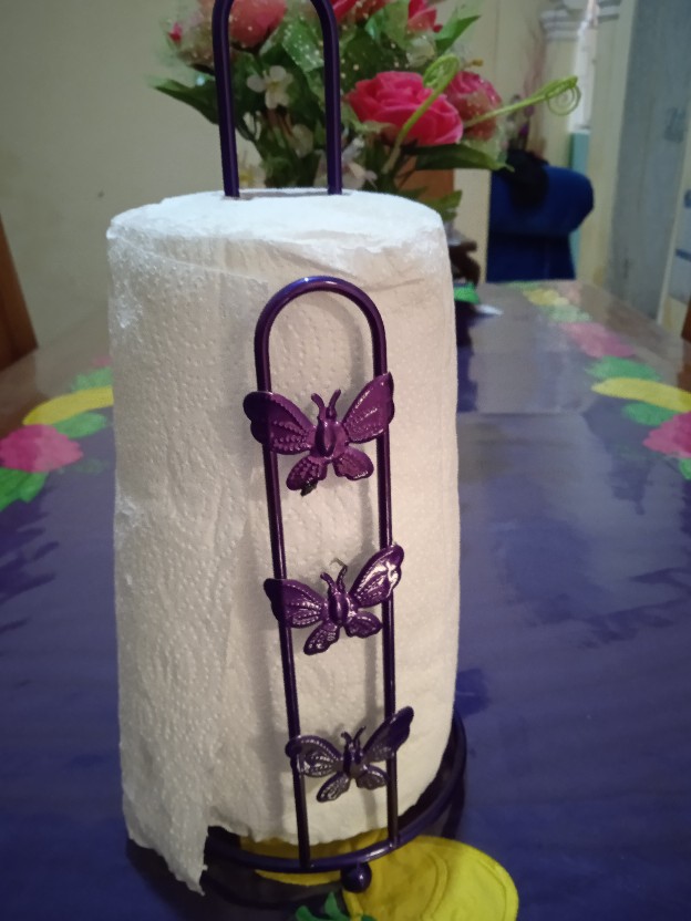 Bistro Nano-th315 31,5cm Tissue Holder Nano Colour / Tempat Tissue Random
