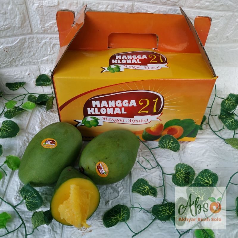 

Buah Segar Mangga Alpukat Klonel Manis Murah Vitamin C