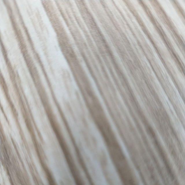 Tanaman Pandan Wangi Ukuran Sedang