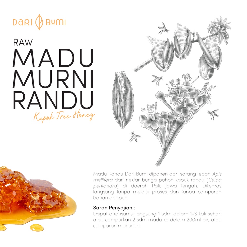 Madu Murni Randu 650g Dari Bumi Premium Pure Original