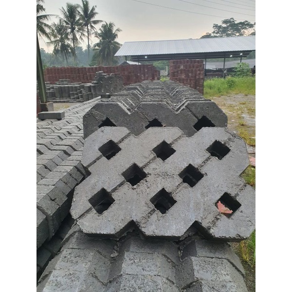 Grassblock/paving blok