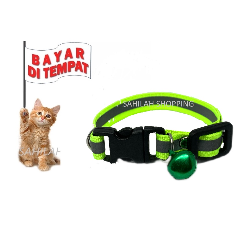 KALUNG KUCING BERCAHAYA GLOW IN THE DARK TERBARU