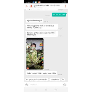 donacarmen mutasi jumbo