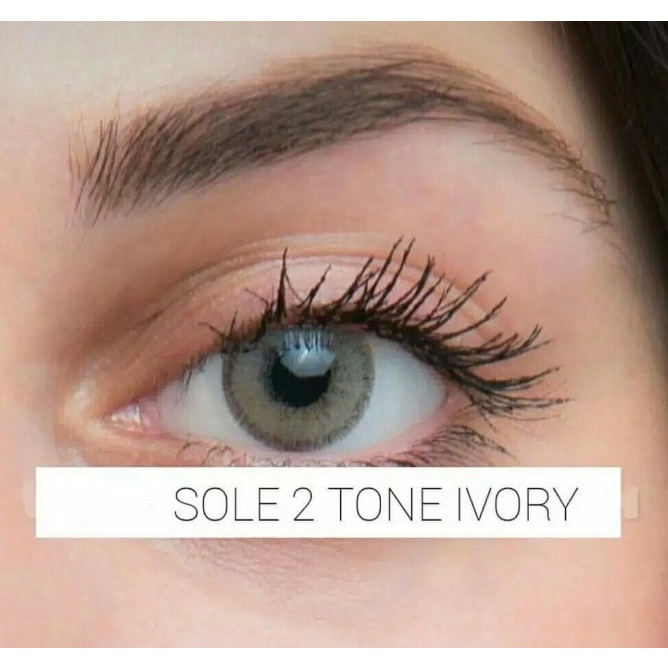 SOFTLENS TOPGEL SOLE 2T BROWN ( -0.50 S.D -6.00 ) 14.2 MM