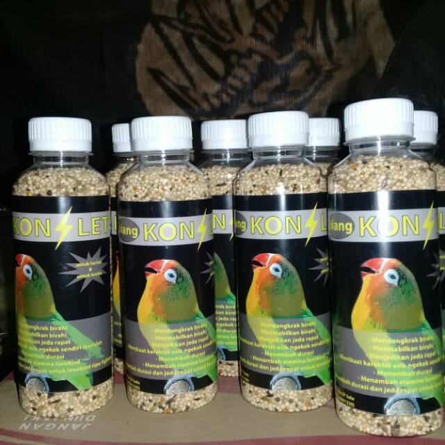 pakan lovebird biang KONSLET