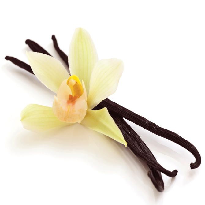 

31.87-Kue- 100Ml Vanilla Extract Non Alcohol Halal Mui - La Dame In Vanilla -Terlengkap-Termurah-