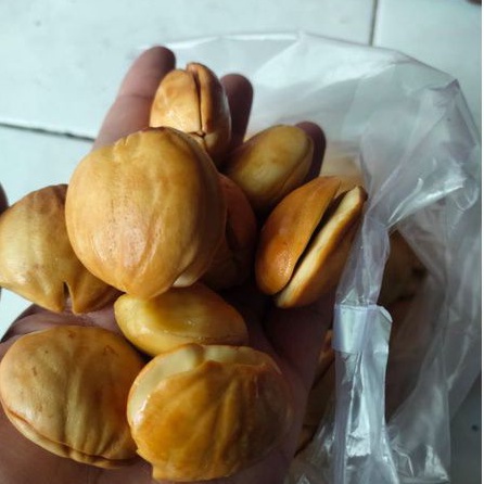 Jengkol Tua Kupas Mentah (BUDAYAKAN MEMBACA DESKRIPSI) Pulen Legit Cocok Untuk Semur Goreng Opor Ren