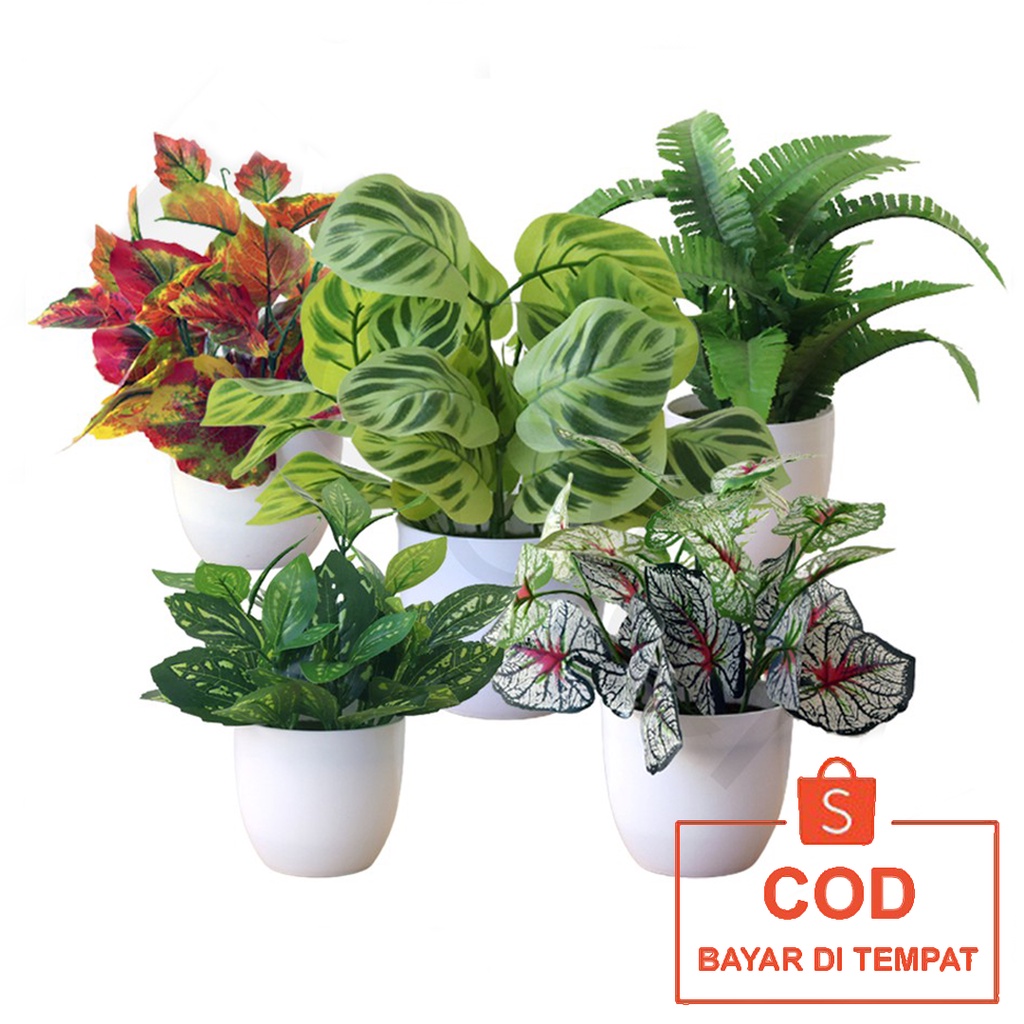 ✅COD Pot Tanaman Pohon Bonsai Vas Bunga Hias Plastik Perlengkapan Hiasan Dekorasi Meja Makan Ruang Tamu Kamar Aesthetic Perabotan Interior Rumah Tangga Murah Model Aneka Daun Warna