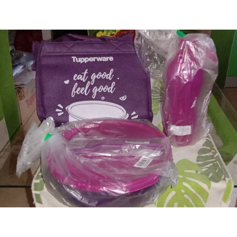 TUPPERWARE FIT TO GO PURPLE