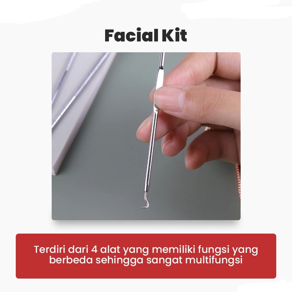 Alat Pembersih Muka Set Acne Pimple Needle Remover 4 PCS