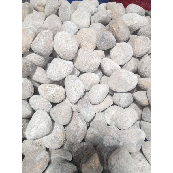PUCUNG/KLUWEK FRESH 1KG KERING