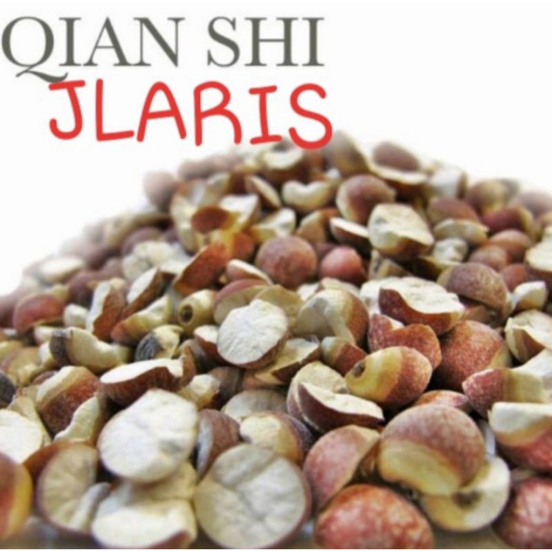 

1kg Qian SHI Premium / Euryale seed / Fox Nut seeds / Kiam sip