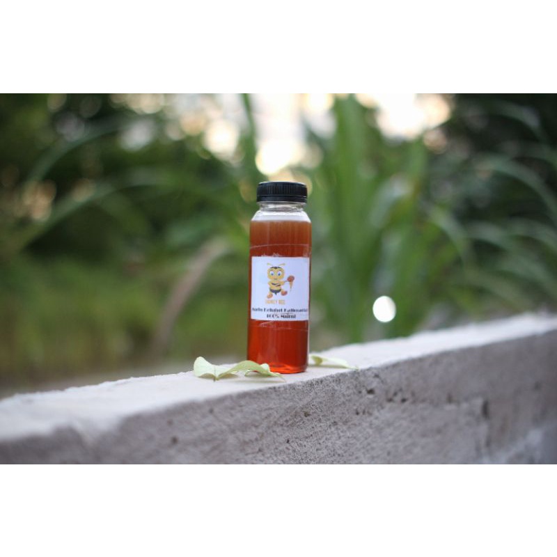 

Madu Kelulut Asli Kalimantan