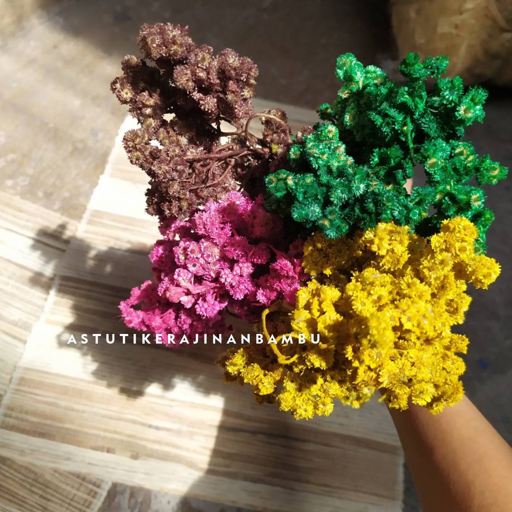 Bunga Edelweiss Warna/ bunga abadi/ bunga hias/ bunga kering