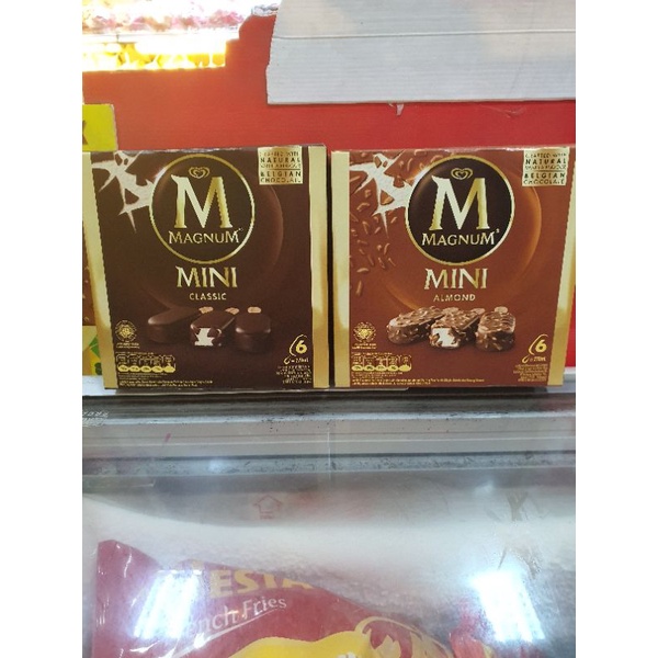 

Magnum Mini 270ml isi 6