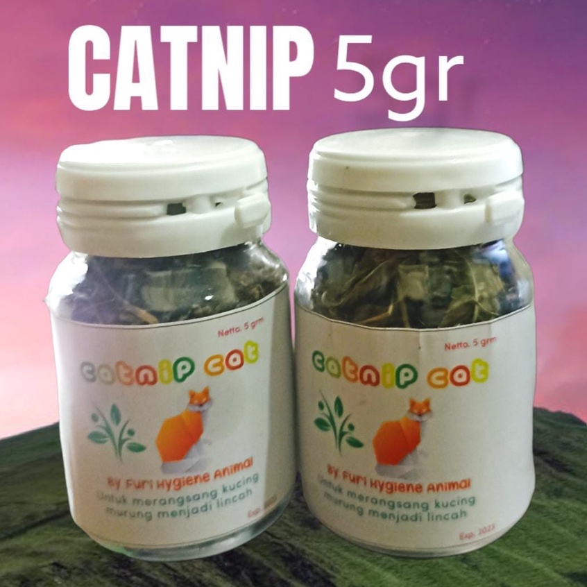 CATNIP SERBUK ORGANIK UNTUK KUCING TUBE 5 GR