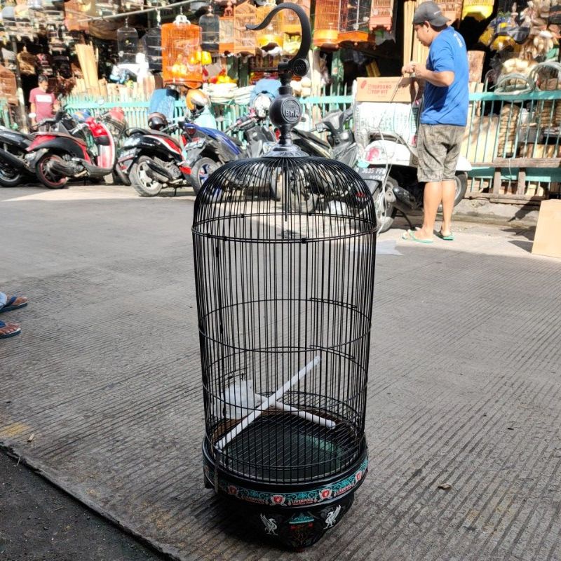 Kandang Lovebird BnR Decal Liverpool