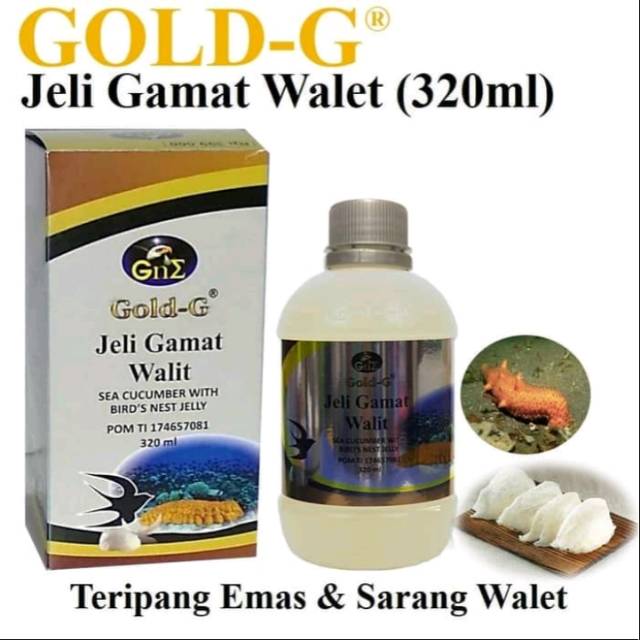 Jelly gamat gold G sea cucumber