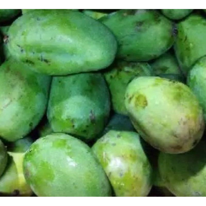 

Mangga muda 1 kg Bandung