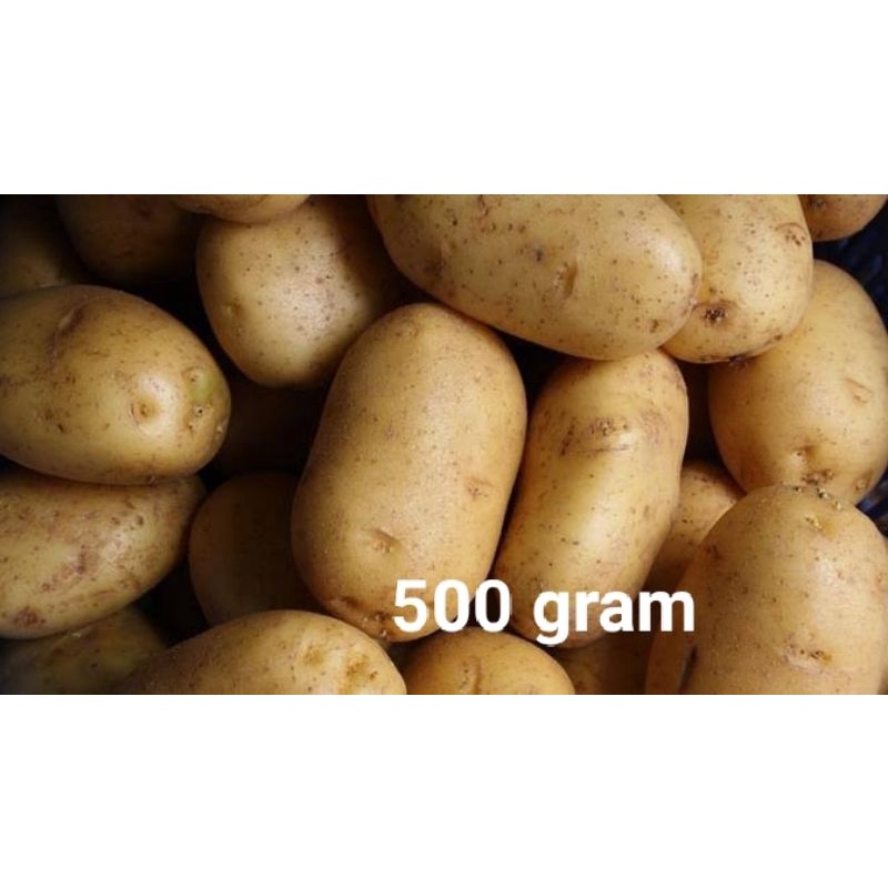 

kentang 500 gram