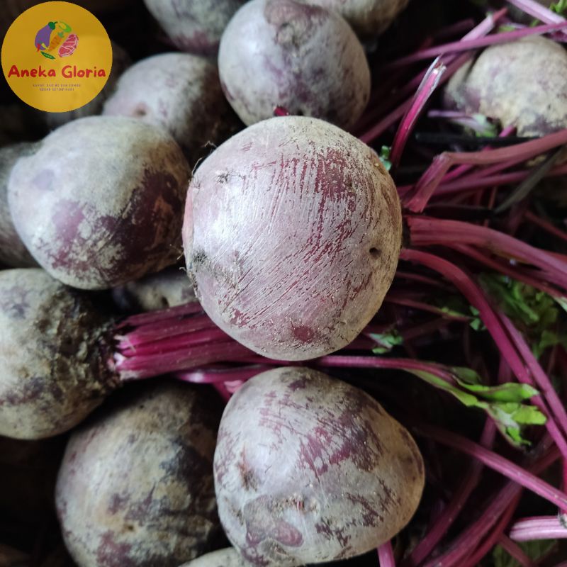 

beet root / buah bit segar