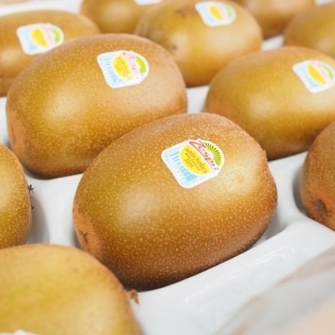 

Gratis Ongkir!! (gje-491) [ TERMURAH ] 1 Kg Kiwi Gold ( Zespri Kiwi Sungold ) Import