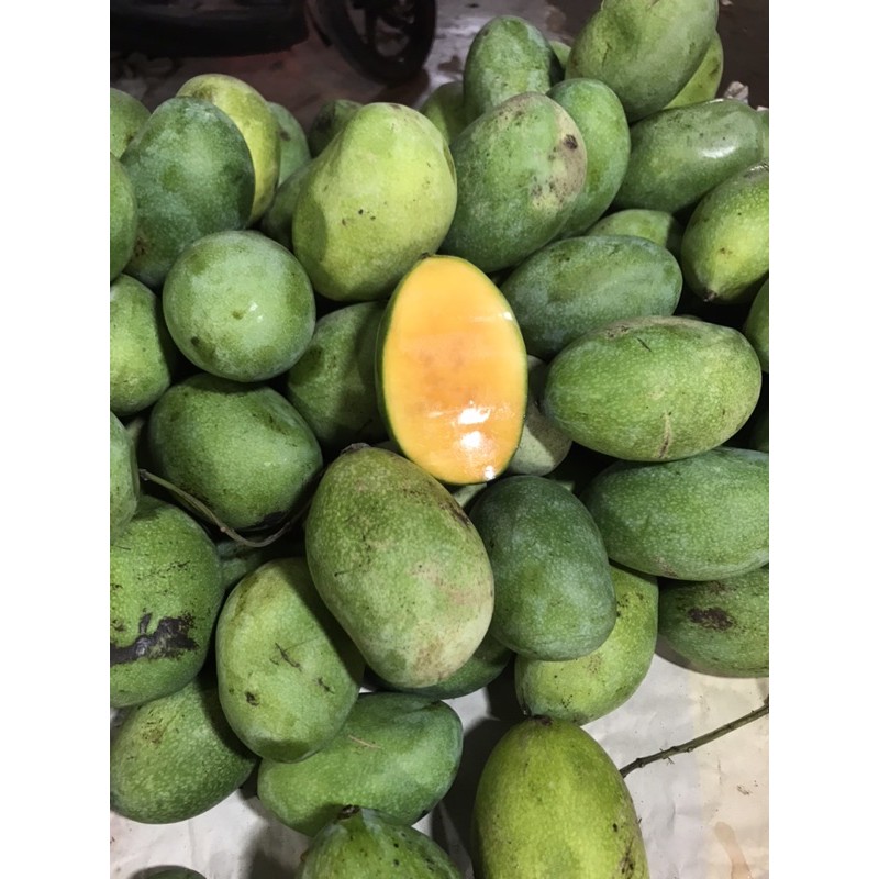 

Mangga Madu Manalagi (1KG)