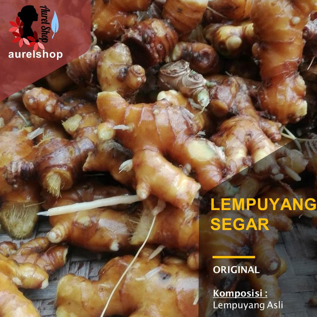 

Lempuyang Segar kemasan 1 kg