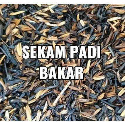 Media Tanam Sekam Padi Bakar 1Kg