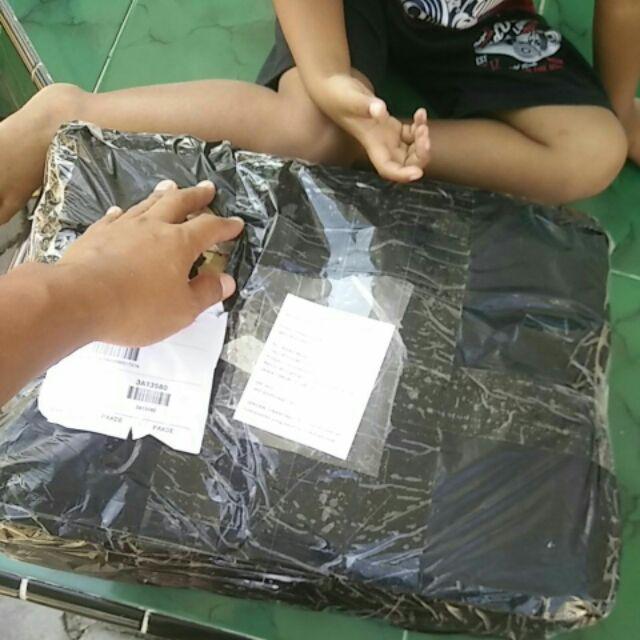 Jack Demolition Hammer Merk Uchiha Model Makita Bor Bobok