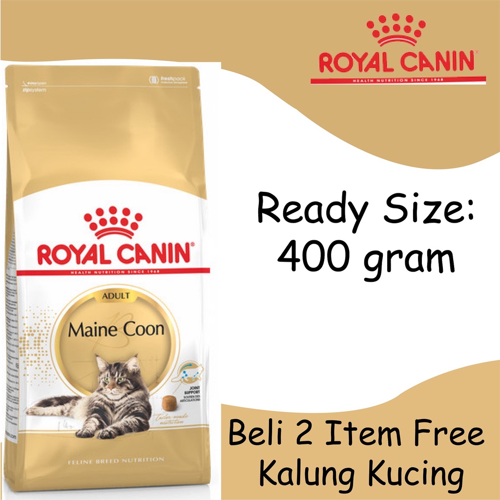 Royal Canin Maine Coon Adult 400 gr - Makanan Kucing Maine Coon