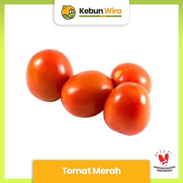 

Tomat Merah Tw | Red Tomato