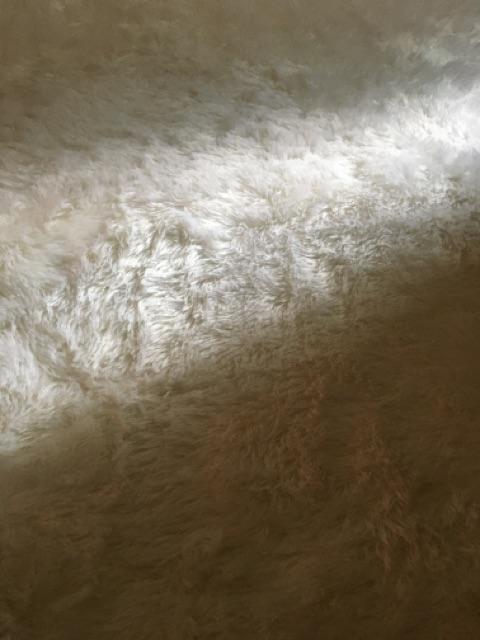 Karpet Bulu | Alas Polos | 100x150 | Tebal 2,5cm