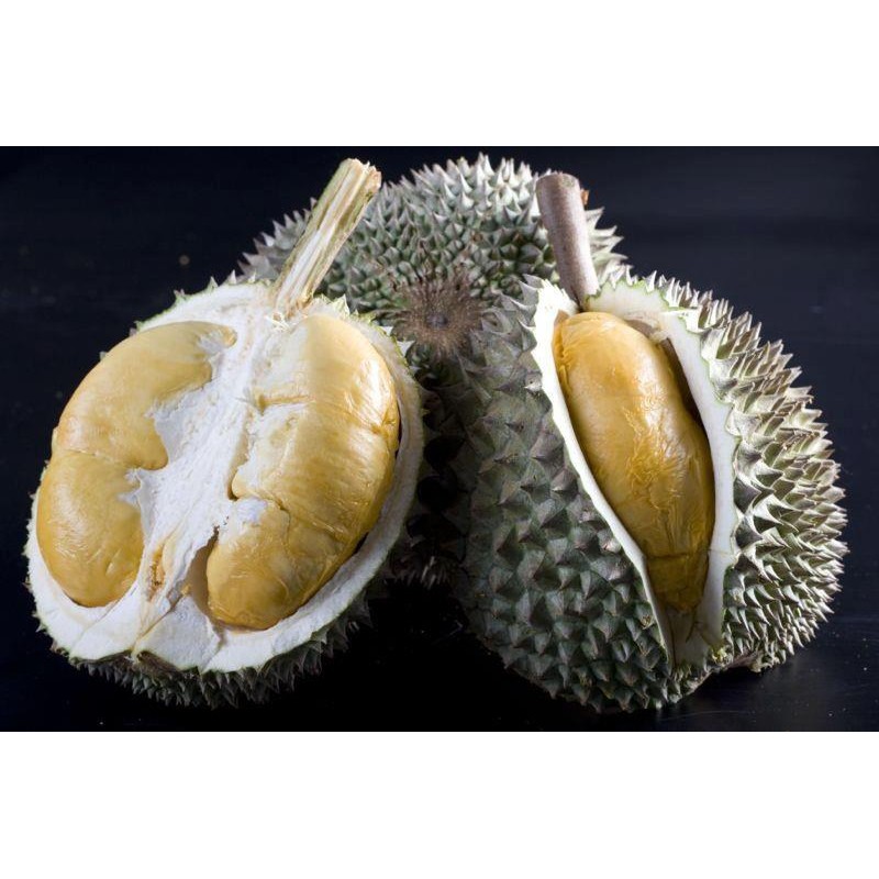 

durian malaysia black thorn /durian kupas beku 400gr /pack