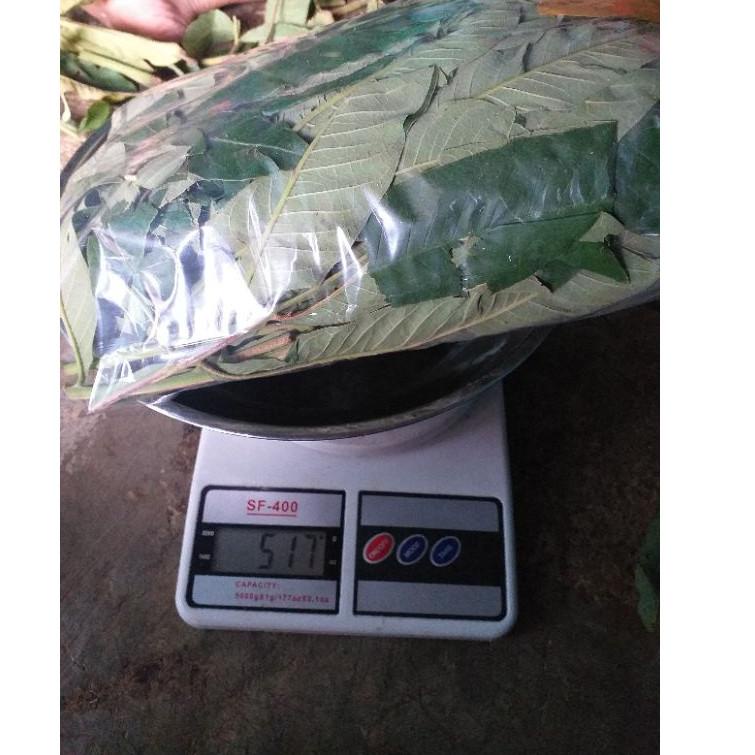 

[KODE CWD8P] DAUN SUNGKAI 500 gram herbal covid 19 harga pendemi