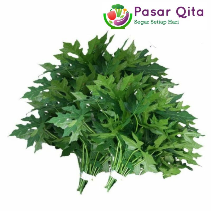 

Daun Pepaya Jepang - Per 1 Ikat ( Pasar Qita )
