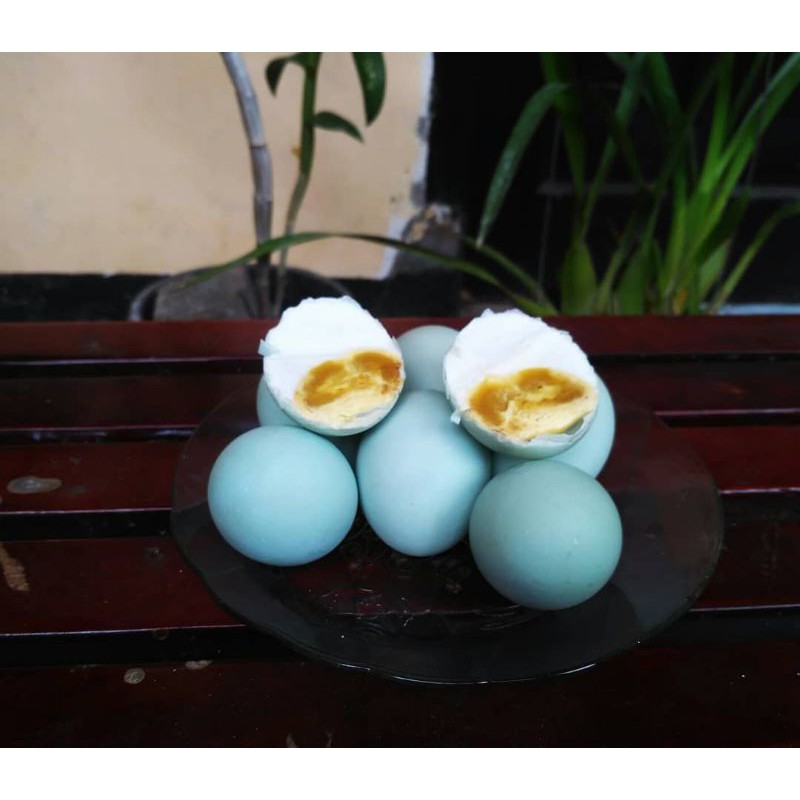 

Telur asin IWI