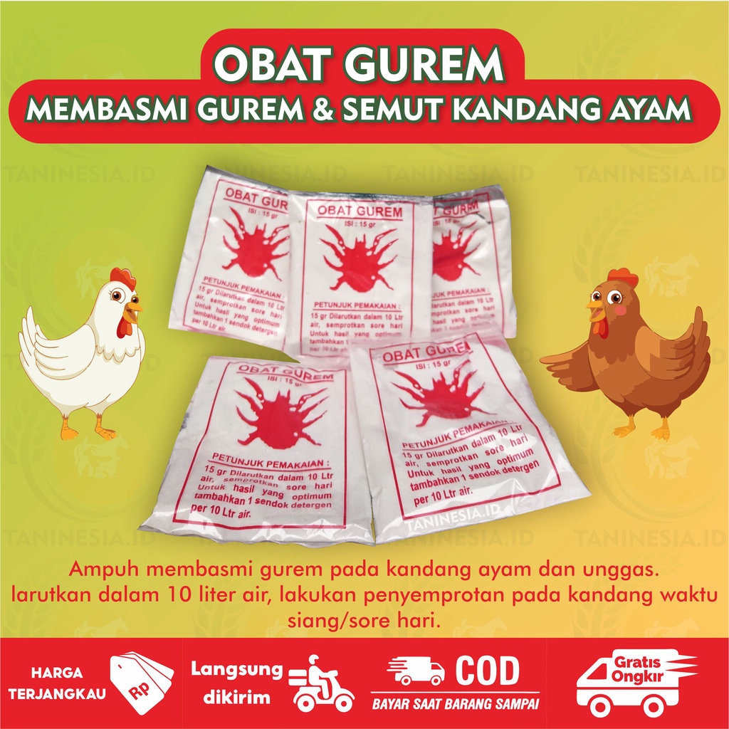 OBAT GUREM AYAM PEMBASMI HAMA, KUTU, PINJAL, TUNGAU PADA AYAM DAN KANDANG UNGGAS