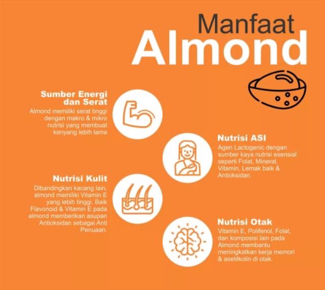 Alamon Milk Susu Almond Pelancar Asi Booster