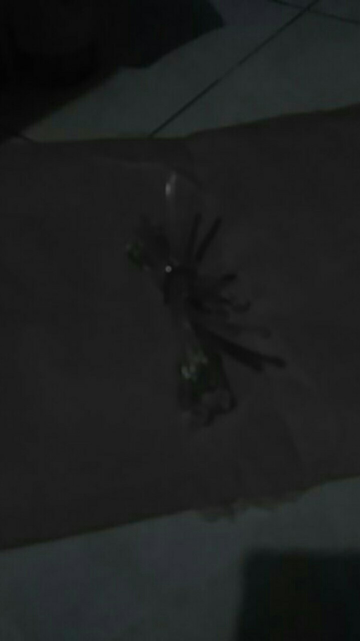 Face Shield Kacamata Pelindung Wajah Visur Apd Anti Air