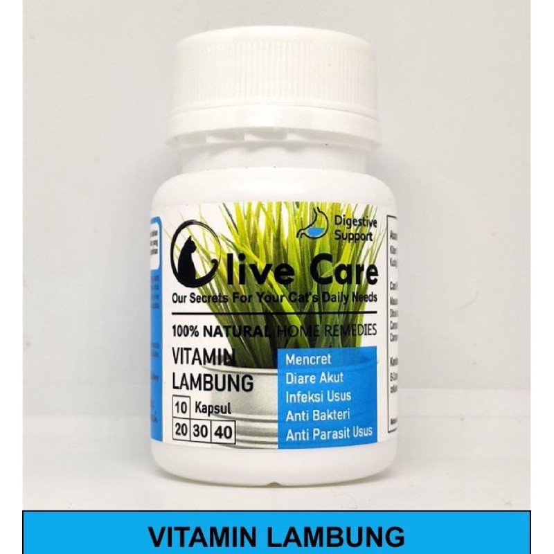 Vitamin Kucing Mencret, Diare Akut, Pup Berdarah, Radang Usus, Gangguan Pencernaan
