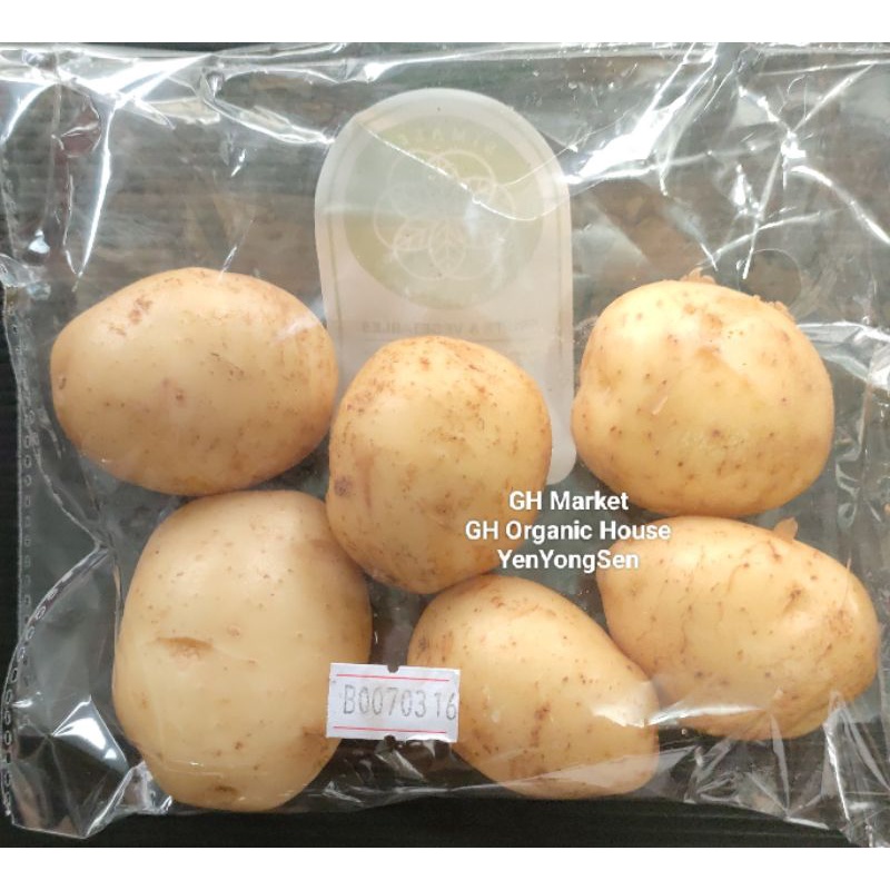 

Kentang Kuning Organik Simalem 250 gr Fresh Panen dari Kebun / Sehat dan Bebas Pestisida