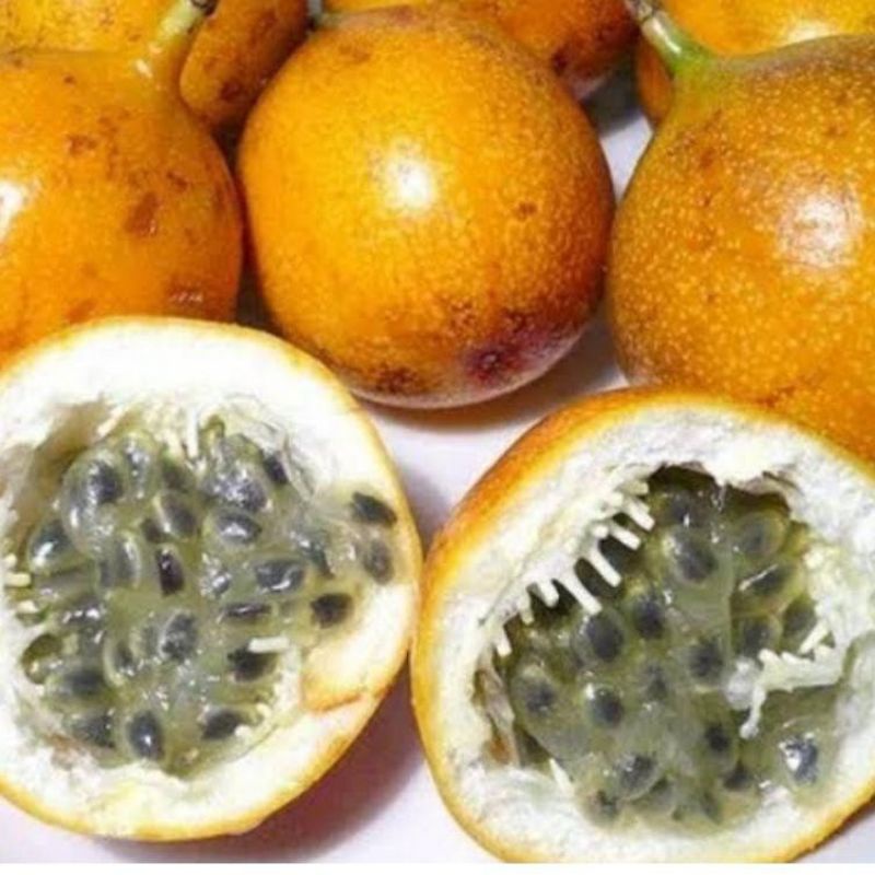 

anggur madu/ markisa manis asli bedugul Bali