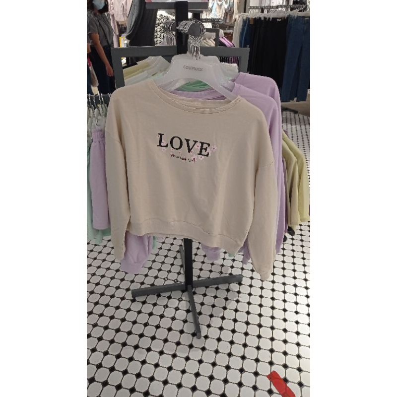 sweater colorbox sale