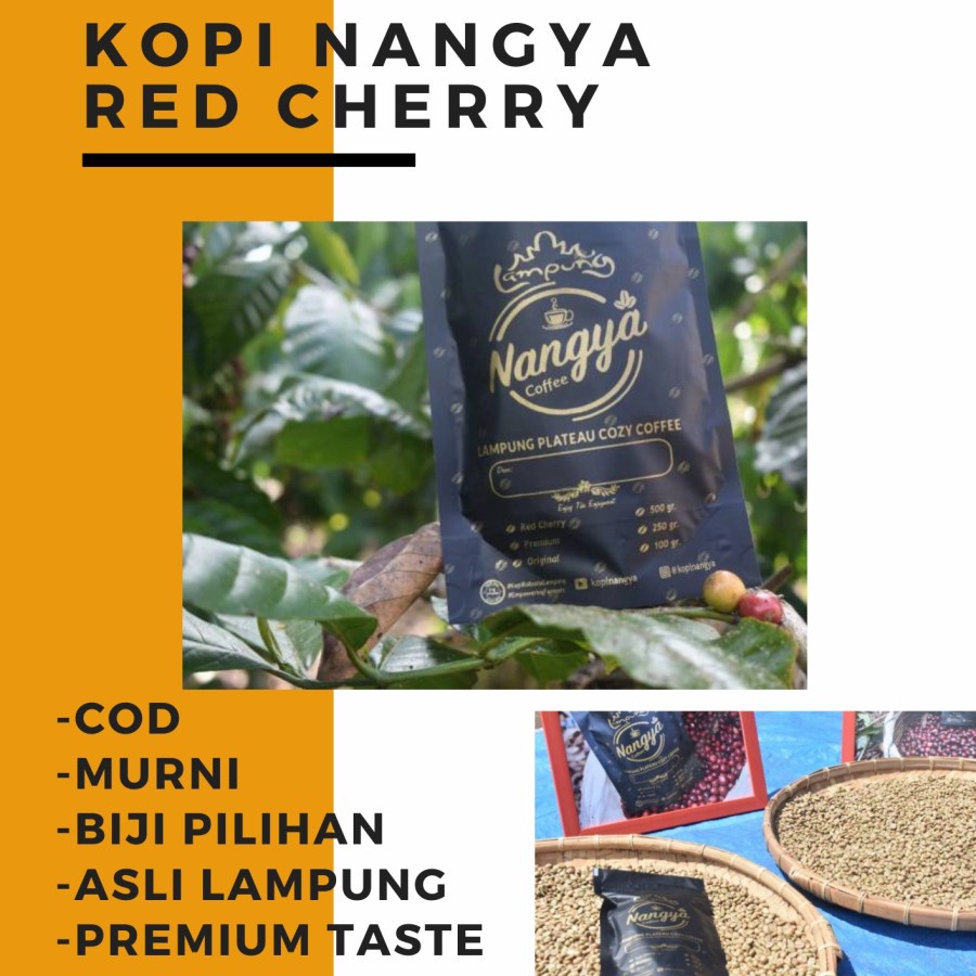 

Kopi Nangya Bubuk Red Cherry Robusta Gayo Coffe Lampung Joss 225gr