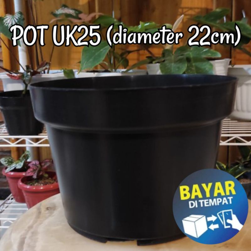 POT BUNGA UK25 (diameter 22cm) ISI 6 PCS