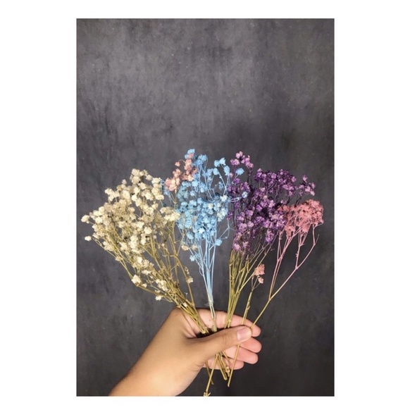 BABY BREATH DRIED FLOWER / BUNGA KERING BABY BREATH
