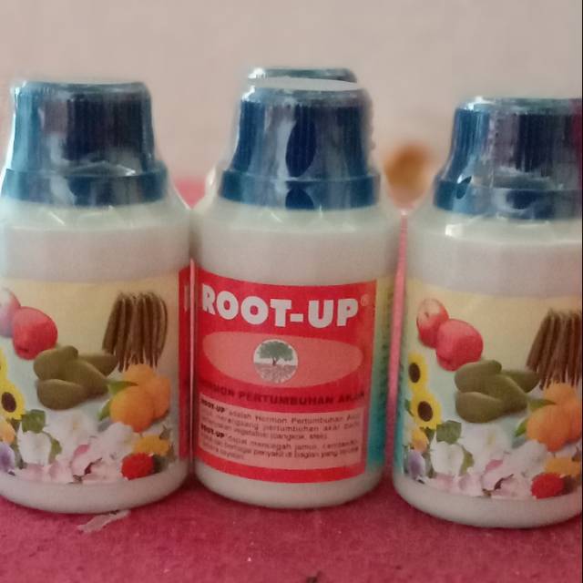Perangsang akar root-up asli untuk cangkok dan setek semua tanaman